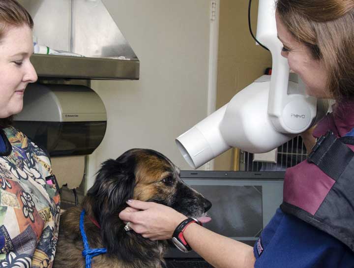 Digital Dental Radiology