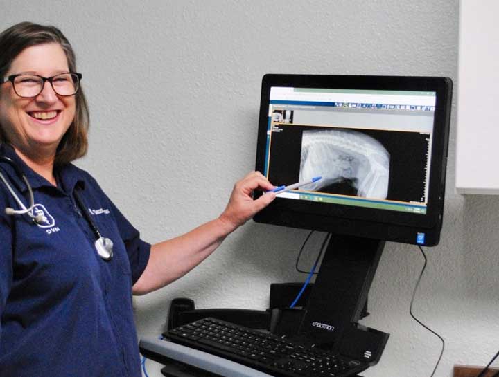 Pet Digital Radiology